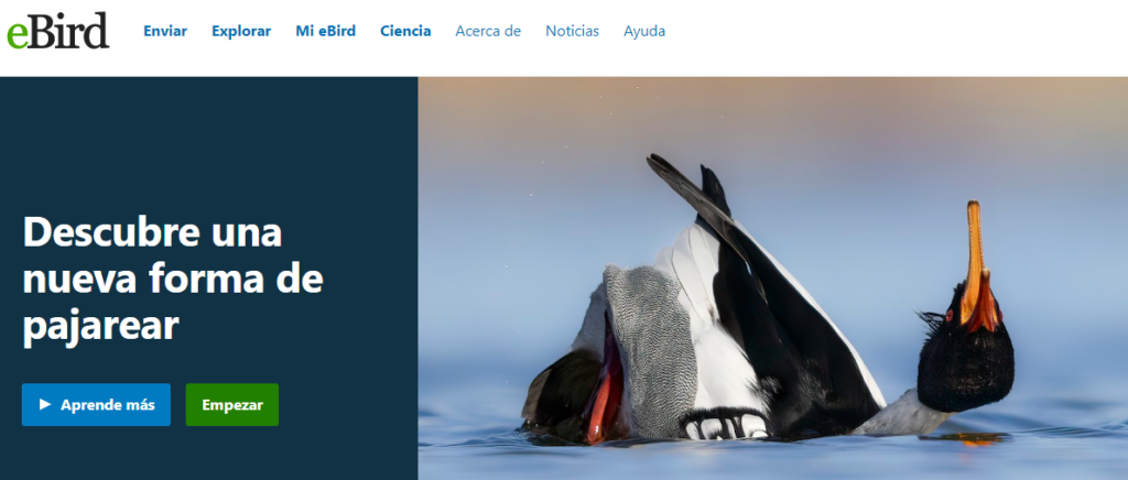 portada web del proyecto ebird